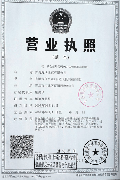 China Qingdao Hainr Wiring Harness Co., Ltd. Zertifizierungen